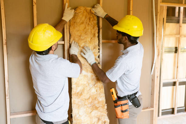 Eco-Friendly or Green Insulation Solutions in West Sharyland, TX